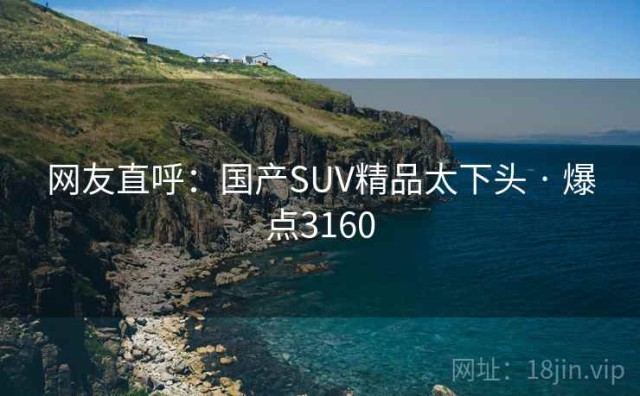 网友直呼：国产SUV精品太下头 · 爆点3160