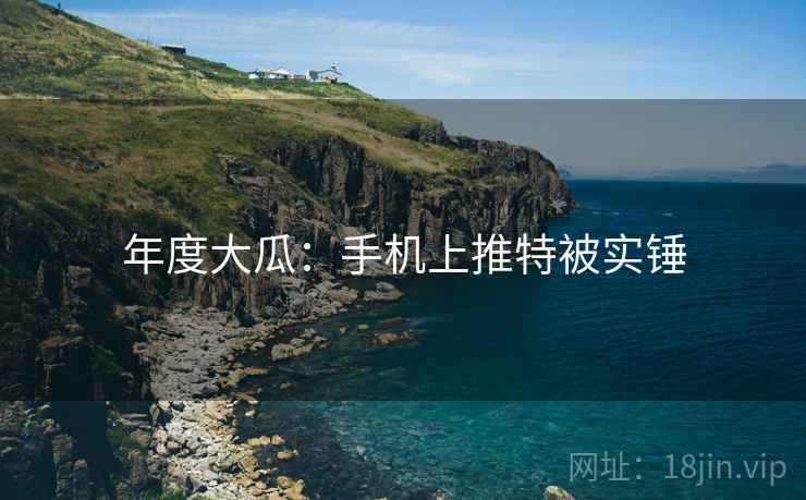 年度大瓜：手机上推特被实锤